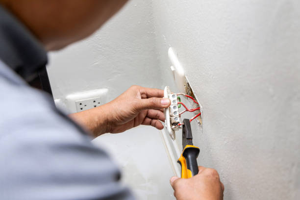 Best Home Electrical Repair  in Niagara, WI