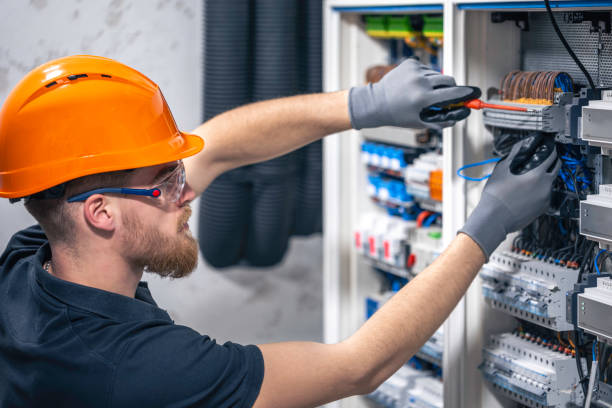 Best Local Electrician Companies  in Niagara, WI